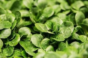 How to keep your brain healthy